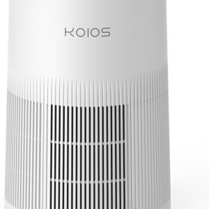 Air Purifiers for Home Large Room