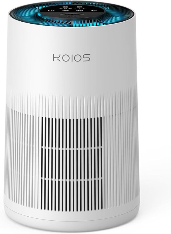 Air Purifiers for Home Large Room