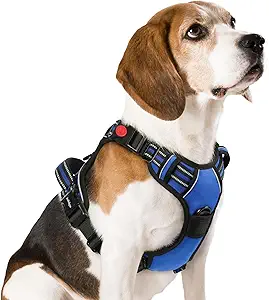 rabbitgoo Dog Harness Leash Clips
